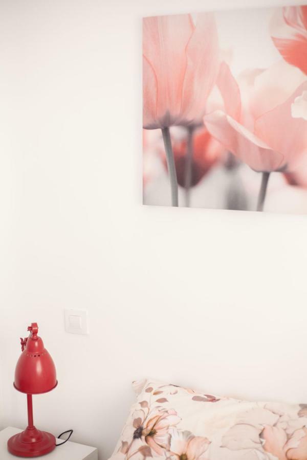 Apartamentos El Paraiso Logrono Luaran gambar